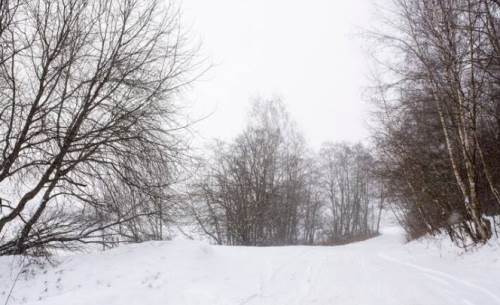 Kayseri'de hava durumu nasıl olacak? (23 Kasım 2024)