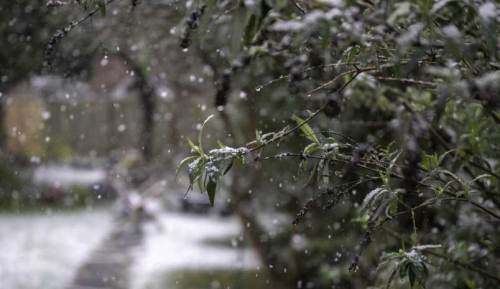 Kayseri'de hava durumu nasıl olacak? (23 Ocak 2025)