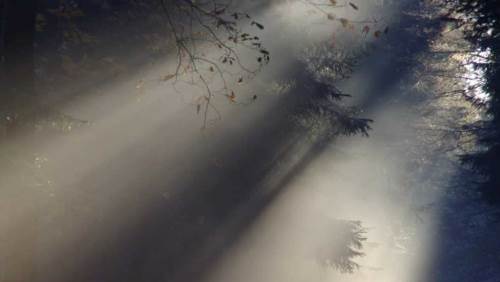 Kayseri'de hava durumu nasıl olacak? (24 Aralık 2024)