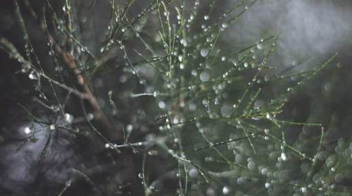 Kayseri'de hava durumu nasıl olacak? (25 Ocak 2025)