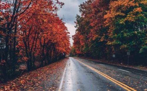 Kayseri'de hava durumu nasıl olacak? (30 Kasım 2024)