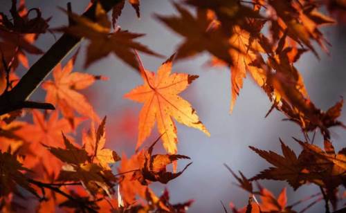 Kayseri'de hava durumu nasıl olacak? (4 Kasım 2024)