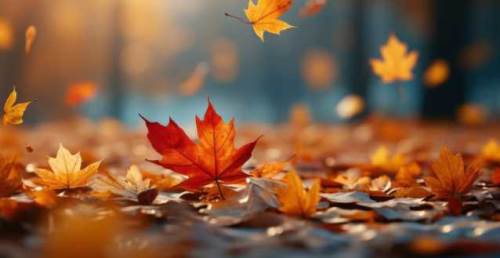 Kayseri'de hava durumu nasıl olacak? (5 Aralık 2024)