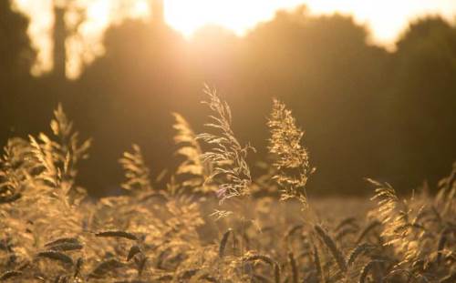 Kayseri'de hava durumu nasıl olacak? (6 Kasım 2024)