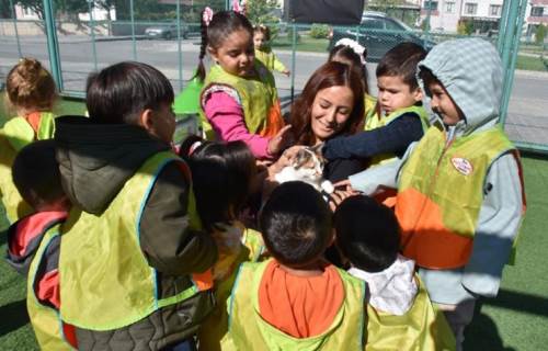 Kayseri'de kediseverlere yeni bir dünya sundular