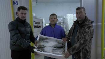 Kayseri’den büyük başarı: 6 ülkeye 10 bin 500 ton balık ihracatı!