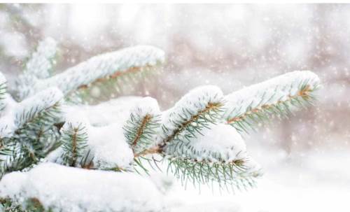 Kayseri hava durumu - 10 Nisan 2025