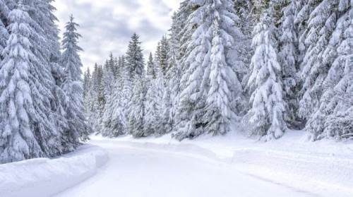 Kayseri hava durumu - 11 Şubat 2025