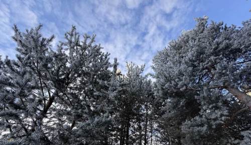 Kayseri hava durumu - 14 Şubat 2025