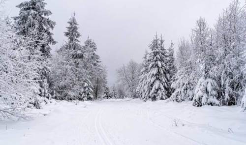 Kayseri hava durumu - 18 Şubat 2025
