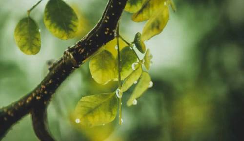 Kayseri hava durumu - 3 Nisan 2025