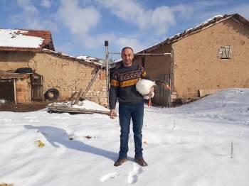 Kaz Üreticiliği Hızla Artıyor
