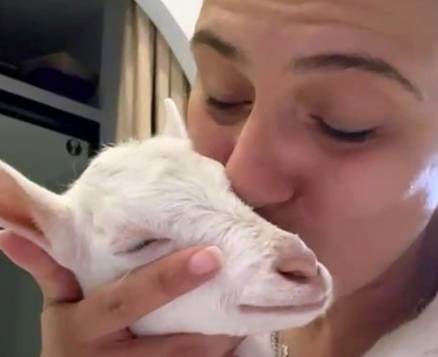 Keçi yavrusu “Şaşkın” evcil hayvan oteline renk kattı