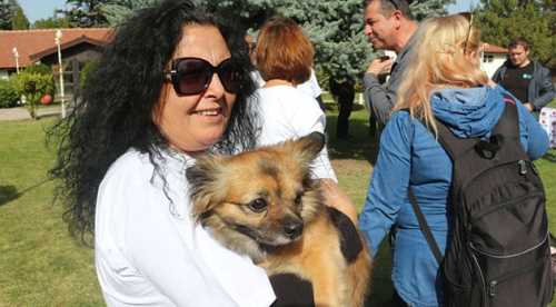Kedi Evleri Projesi’ne ESYEM’den destek