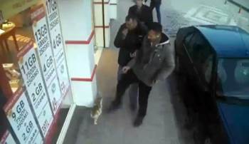 Kediye Tekme Atan Şahsa 947 Tl Para Cezası
