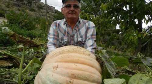 Kendisi de şaştı kaldı