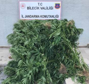 Kenevir Eken 1 Kişi Tutuklandı
