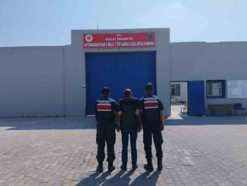 Kenevir Ektiği İçin 4 Yıl Hapis Cezasıyla Aranan Şahsı Jandarma Yakaladı
