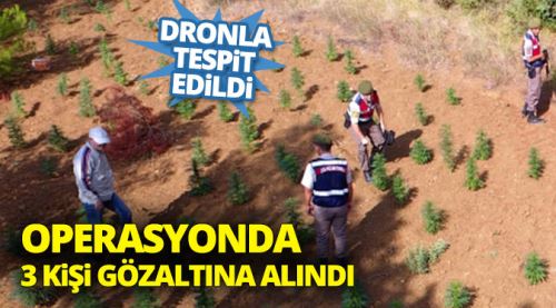 Kenevirlerin yeri dronla tespit edildi