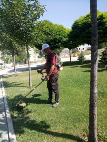 Kent Genelinde Yabani Ot Temizliği Başladı
