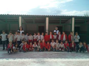 Kermeste Topladıkları Gelirle Sokak Hayvanlarına Mama Aldılar
