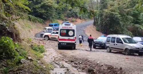 Kestane toplamak için ormana girdi, saatler sonra ölü bulundu
