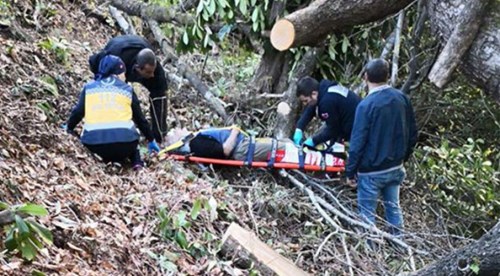 Kestiği ağacın altında feci şekilde can verdi