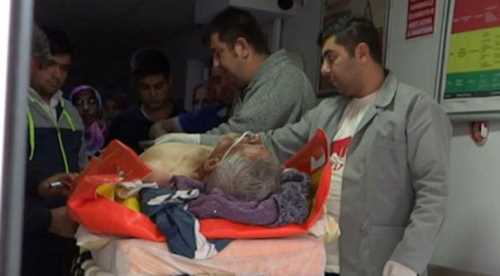 Kestiği ağacın altında kalan kişi yaralandı