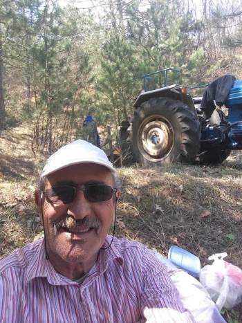 Kestiği Tomruğun Altında Kalarak Hayatını Kaybetti
