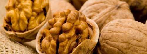 KİLO VERMEYE YARDIMCI OLUYOR