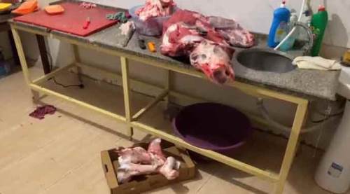 Kilolarca kokuşmuş et! Akıl almaz manzara zabıtayı şok etti