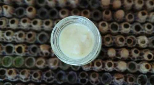 Kilosu 10 bin liradan satılıyor! Siparişlere yetişemiyor...