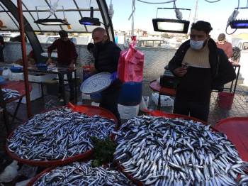 Kilosu 10 Tl’Ye Kadar Düşen Hamsi Fiyatı İle Vatandaşın Yüzünü Güldürdü
