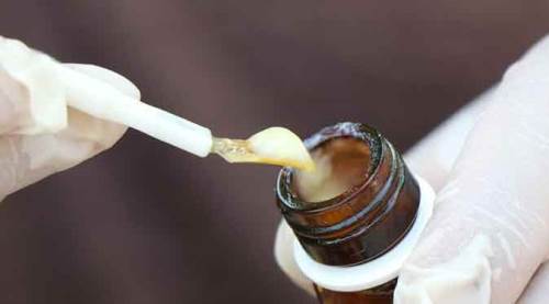 Kilosu 15 bin liradan satılıyor! Öyle bir faydası var ki...