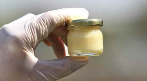 Kilosu 7 bin lira ama yok satıyor!