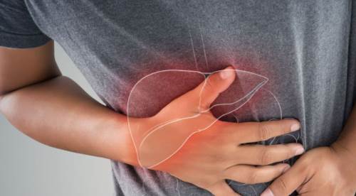 Kim Karaciğer Bağışı Yapabilir? Karaciğer Nakli Süreci Hakkında Bilmeniz Gerekenler