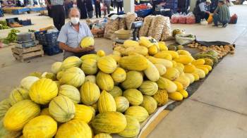 Kiraladığı Arazide 70 Ton Kavun Üretimi Gerçekleştirdi
