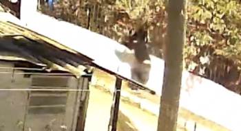 Kiralık Araçla Cinayet İşleyen Zanlılara 3 İlde Operasyon