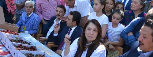 KİRAZ FESTİVALİ'NE 3 BİN KİŞİ KATILDI