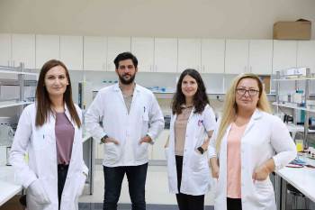 Kireçlenme Tedavisi İçin Önemli Çalışma
