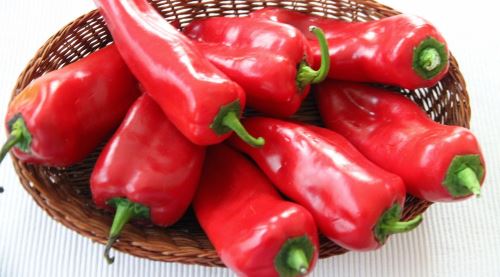 Kırmızı biberin fiyatı el yakıyor