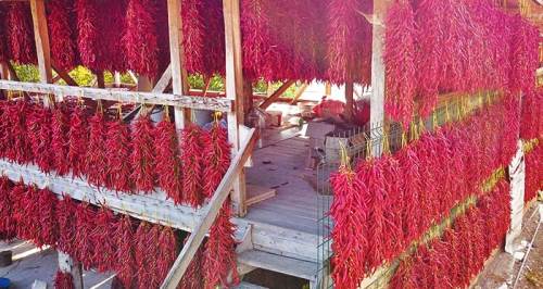 Kırmızı şehirde bir sepeti 30 bin lira!	