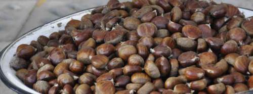 Kış aylarının vazgeçilmezi tezgahlarda yerini aldı