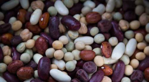 Kış gelirken bu yiyeceklere dikkat!