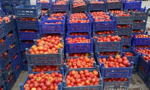 Kış hazırlıkları başladı: Pazarlar domatesle doldu