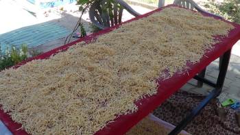 Kış Mevsiminin Vazgeçilmezi Erişte İmece Usulü İle Hazırlanıyor
