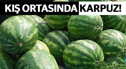 Kış ortasında karpuz satıyorlar