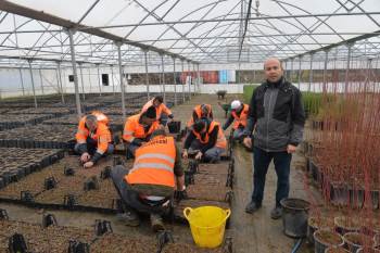 Kışın Üretilen Bitkiler Baharda Toprakla Buluşuyor
