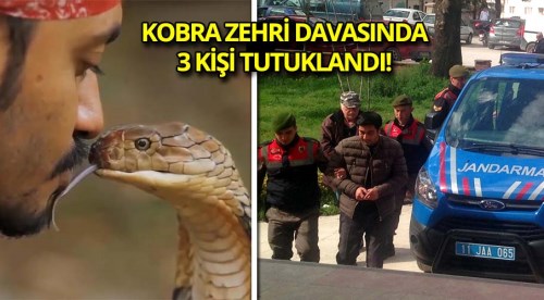 Kobra yılanı davasında 3 tutuklama
