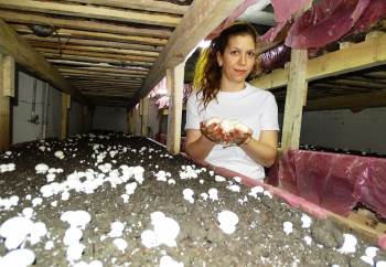 Kocasına Destek İçin Mantar Üretimine Başladı
